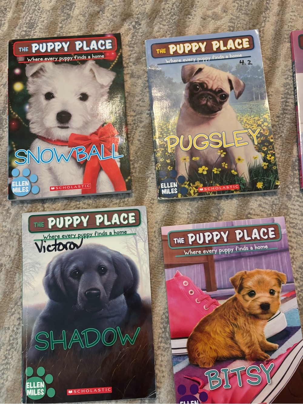 Kids Book Collection - Assorted Cover Colors - Picture 2 of 5